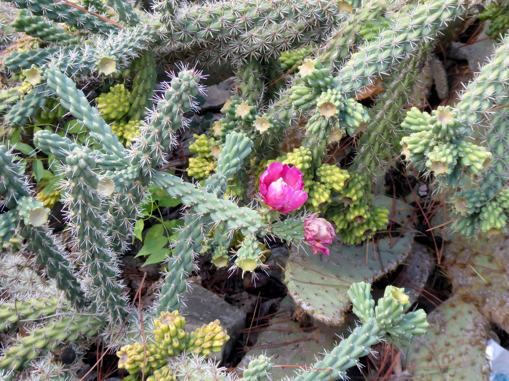 210-p1080197