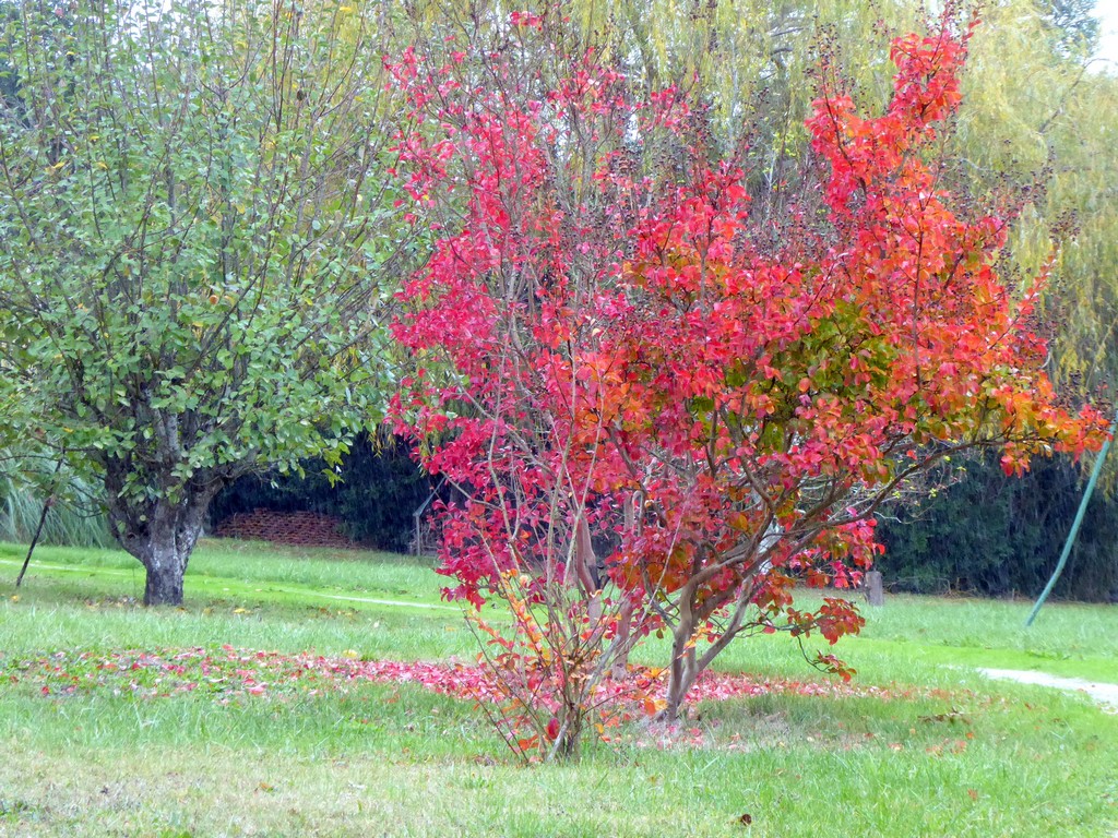 p1080981