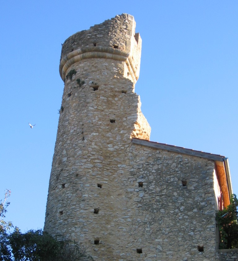 IMG_16 Aurignac
